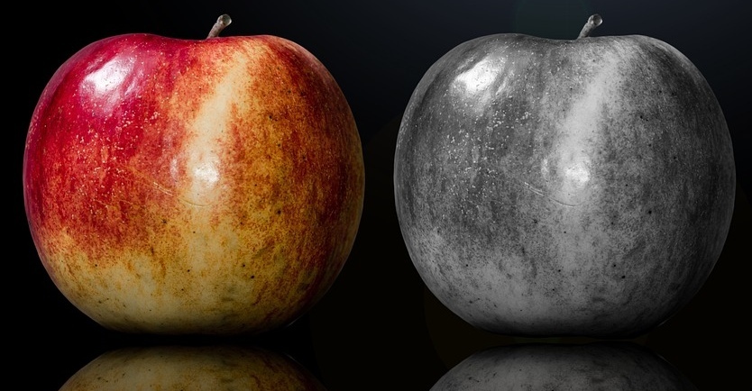 商標同士が類似する様子